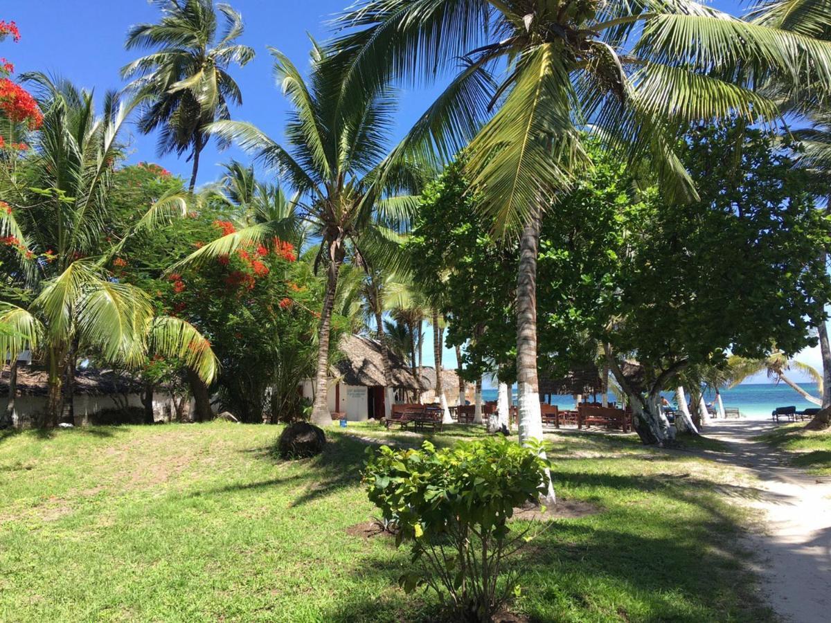 Coconut Village Apartment
